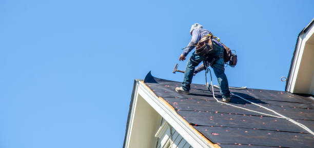 Roof Gutter Cleaning in Wrightsboro, NC
